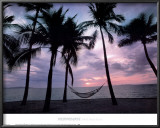 Coconut Palms Posters by Larry Ulrich
