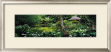 Ayrlies  Prints by Alain Le Toquin