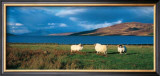 Isle of Skye Posters by Thierry Martinez