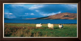 Isle of Skye Posters by Thierry Martinez