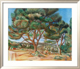 Die Grosse Pinie Kunstdrucke von Andre Derain