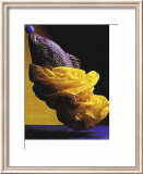 Equilibrium II Photographie par Michel Pilon
