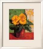 Yellow Primula  Print by Anne-Marie Butlin