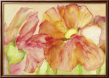 Irish Poppies Posters par Katharina Reichert