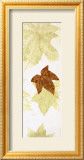 Falling Leaves II  Prints by Phillip Jaeger