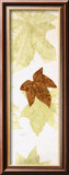 Falling Leaves II Posters by Phillip Jaeger