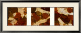 Windows to Nature  Prints by Phillip Jaeger