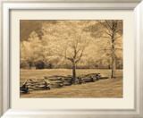 Smokies Fence Posters by Wendy Caro