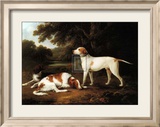 Pointer and Two Spaniels in a Park  Prints by C. Schwanfelder
