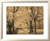 Smokies Road Posters by Wendy Caro