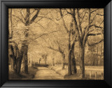 Smokies Road  Prints by Wendy Caro
