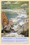 Dimetrodon and Edaphosaurus Dinosaurs  Poster