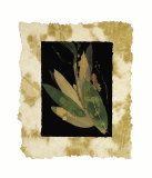 Floral Noir II  Prints by Phillip Jaeger