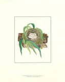 Spotted Fly-Catcher Nest Posters par James Bolton