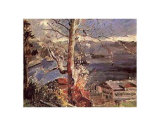Baum am Walchensee Kunstdrucke von Lovis Corinth