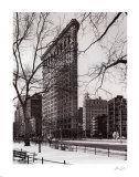 Flatiron Building  Prints by Christopher Bliss