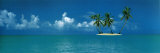 Ile tropicale Photographie