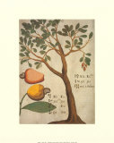 Cashew Tree Art Print, Michel Boym