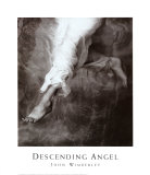 Descend Angel  Prints by John Wimberley