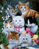 Kitties I Posters by Jenny Newland