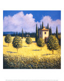 Sun Kissed Orchard I  Poster by David Short