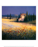 Summer Villa  Prints by David Short