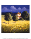 Sun Kissed Orchard II  Prints by David Short