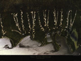 Rive d'un lac - Etosha Posters par Yann Arthus-Bertrand