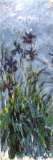 Iris Posters par Claude Monet