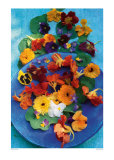 Bowl of Flowers  Prints by Michelle Garrett