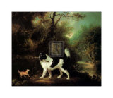 Nelson with a Terrier Posters by C. Schwanfelder
