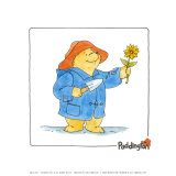 Paddington Bear Posters