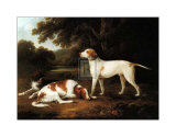 Pointer and Two Spaniels in a Park  Print by C. Schwanfelder