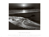 Birds on a Beach Posters by Ansel Adams
