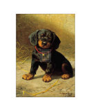 Puppy  Prints by H. Sperling