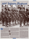 The 369th Infantry Regiment Poster