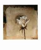 Seule I Affiches par Heleen Vriesendorp