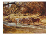 Chevaux à Kirkland Creek Affiches par Rogue Simpson