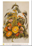 Zinnias And Daisies Posters par Charles Demuth