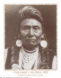 Chief Joseph Poster, Curtis