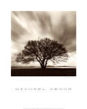 Night Clouds  Prints by Michael Kenna