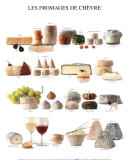 Goat Cheeses Art Poster