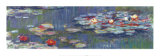 Les nénuphars Posters par Claude Monet