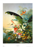 In the Tropics  Prints by Osias Beert