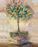 Orange Tree  Prints by Rian Withaar