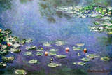 Wasserlilien Poster von Claude Monet