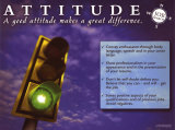 Attitude  Prints