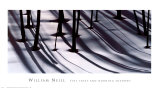 Pine Trees and Morning Shadows Posters by William Neill