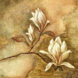Burlap Magnolia I Posters by Tina Chaden