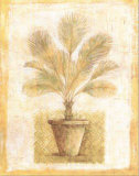 Peaceful Palm I  Prints by Tina Chaden